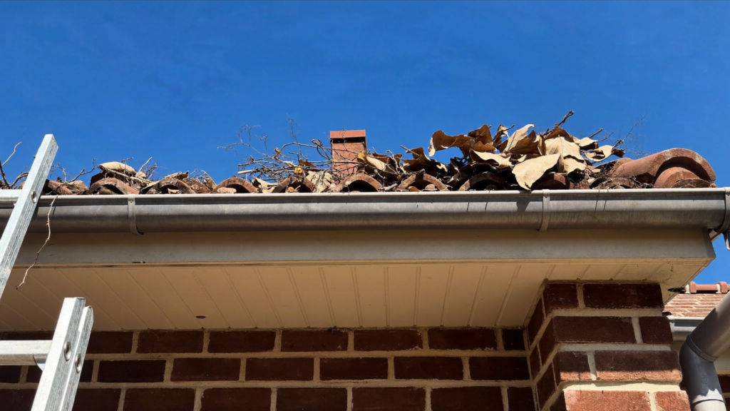 Gutter clean before