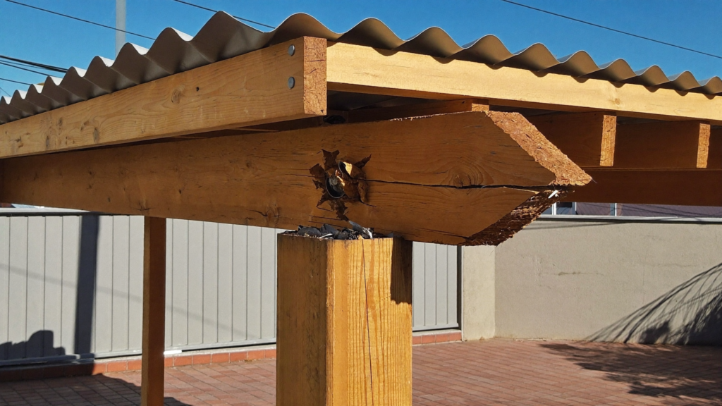 Deck, patio and pergola repairs Perth