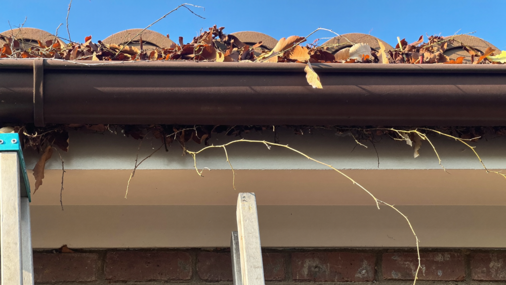 Colorbond gutter on a Perth brick home packed full of dry gum leaves