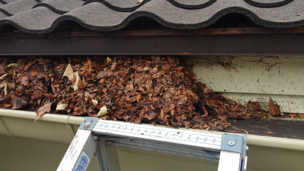 Gutter cleaning Perth