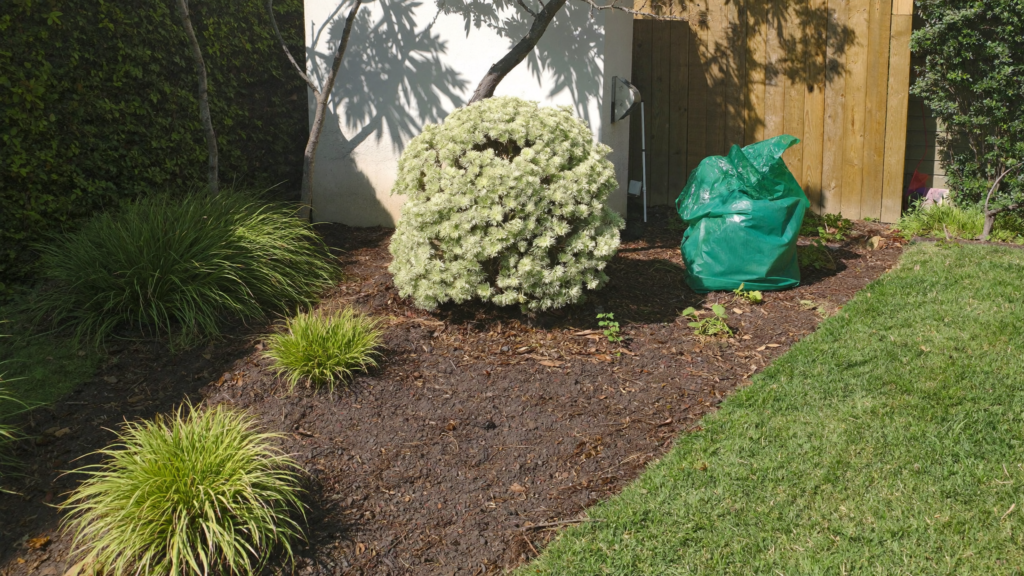 Garden tidy-ups Perth